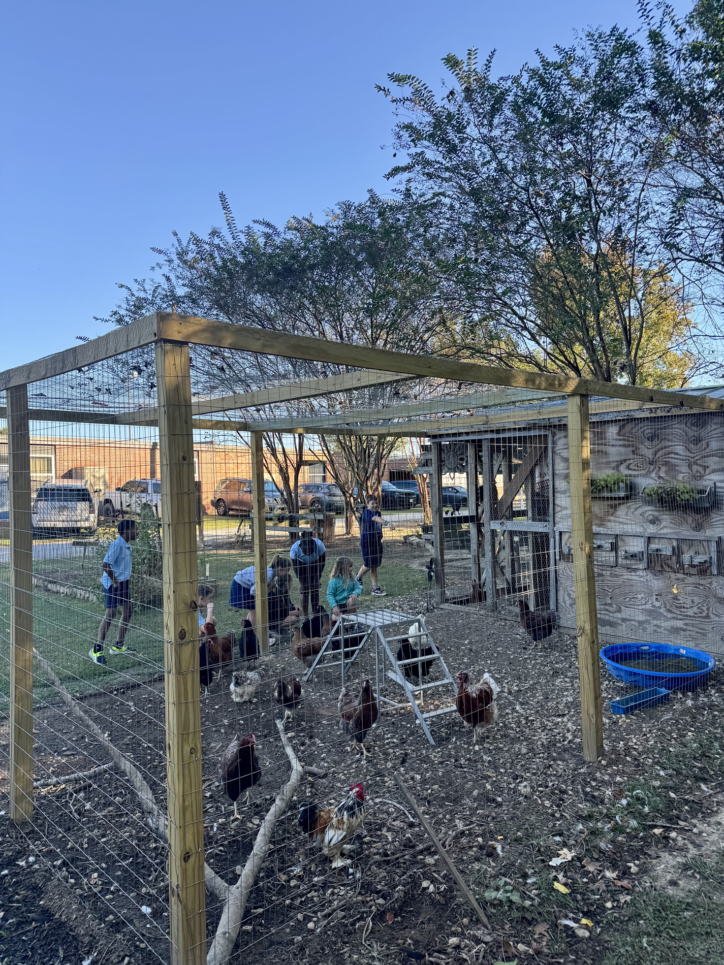 LES Chicken Coop