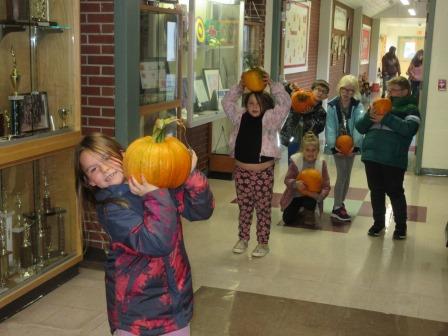 Pumpkins arrive_fall2024