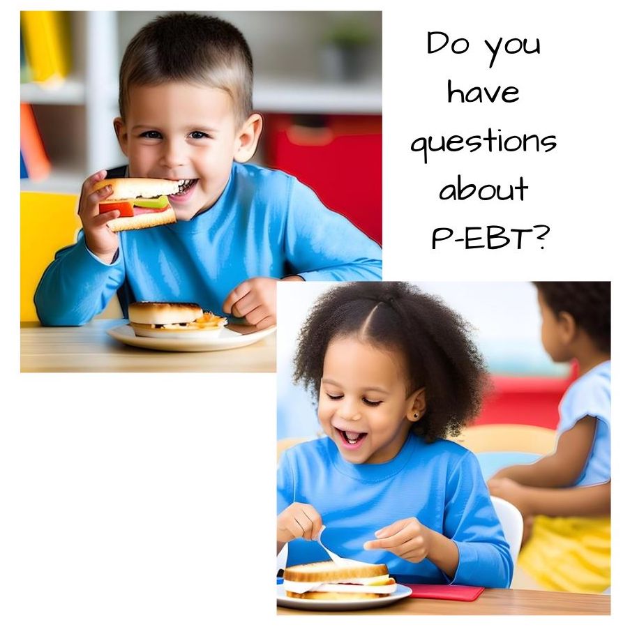 Do you have questions about P-EBT?
