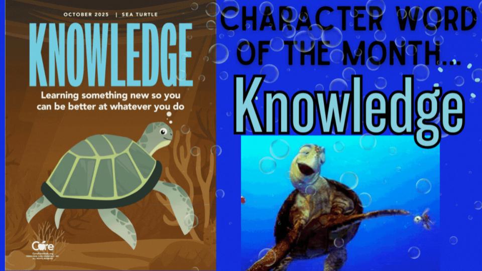 Knowledge