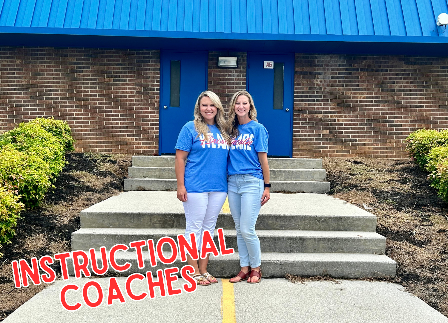 instructional coaches