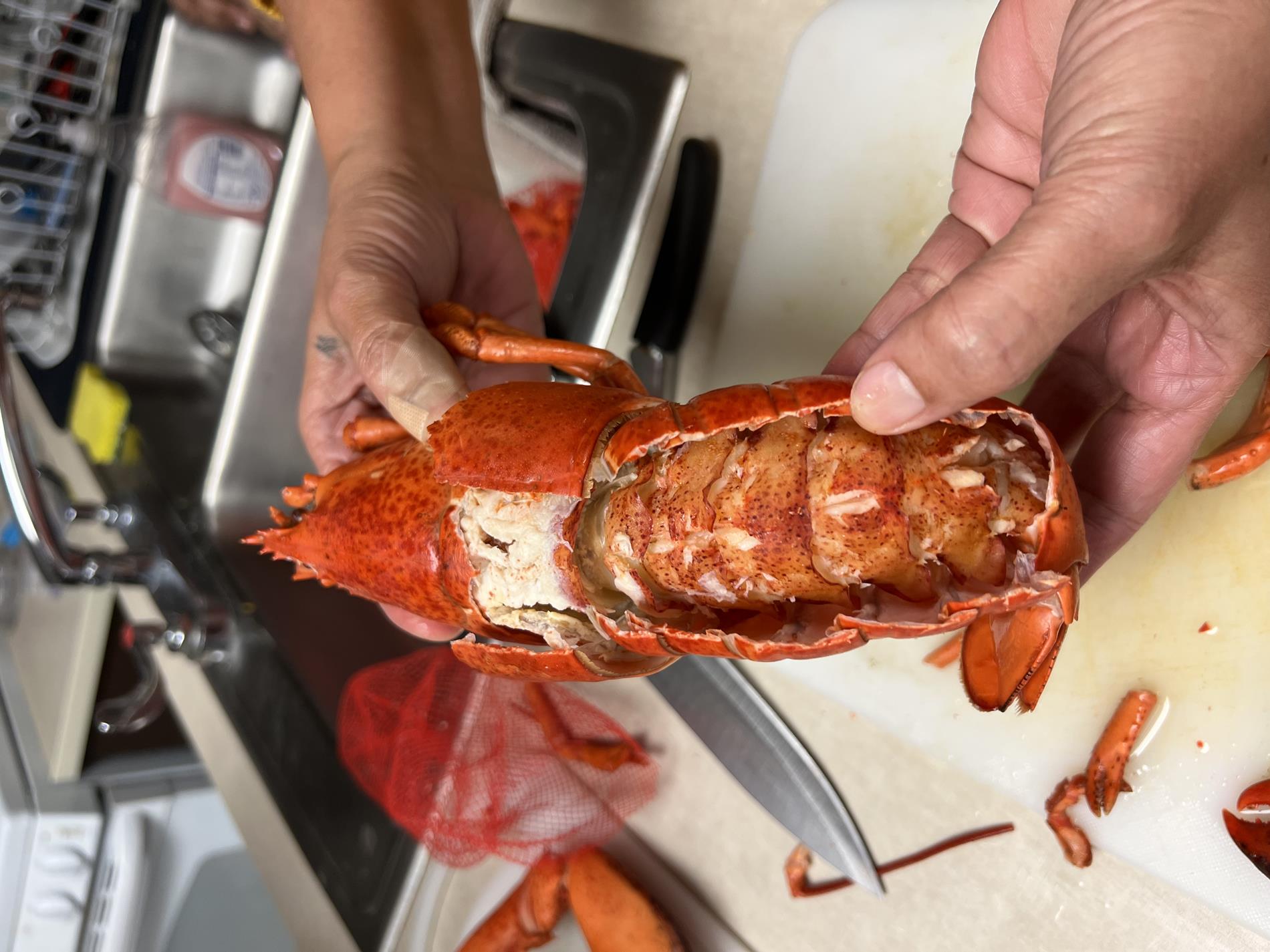A picture of the meat inside the abdomen of the lobster. 