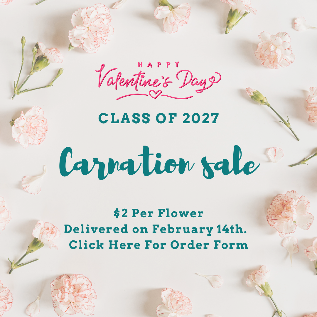 Carnation Sale for Valentines.  Call 518 251 2000 for more information