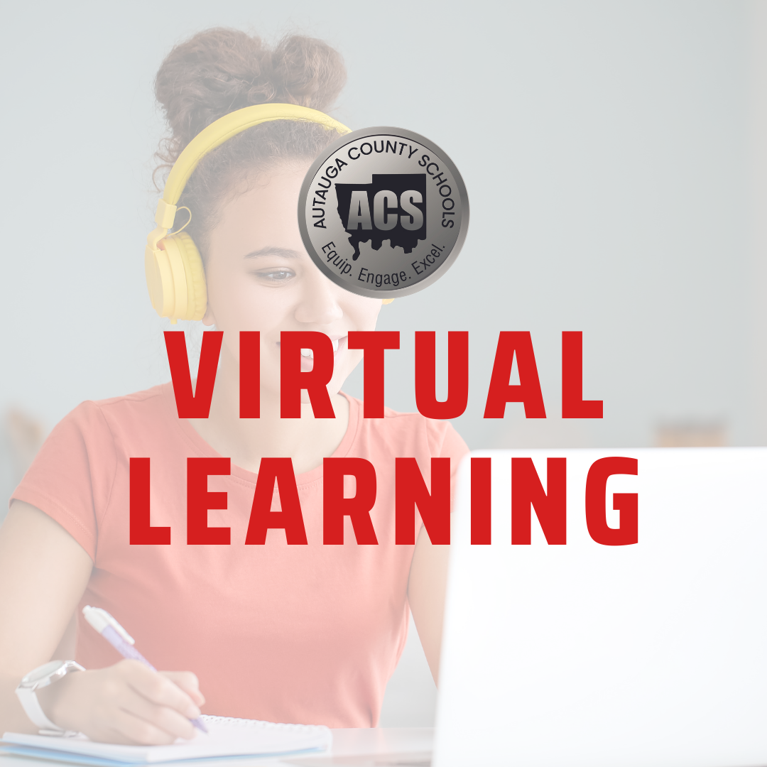 2024-2025 Virtual Learning Applications