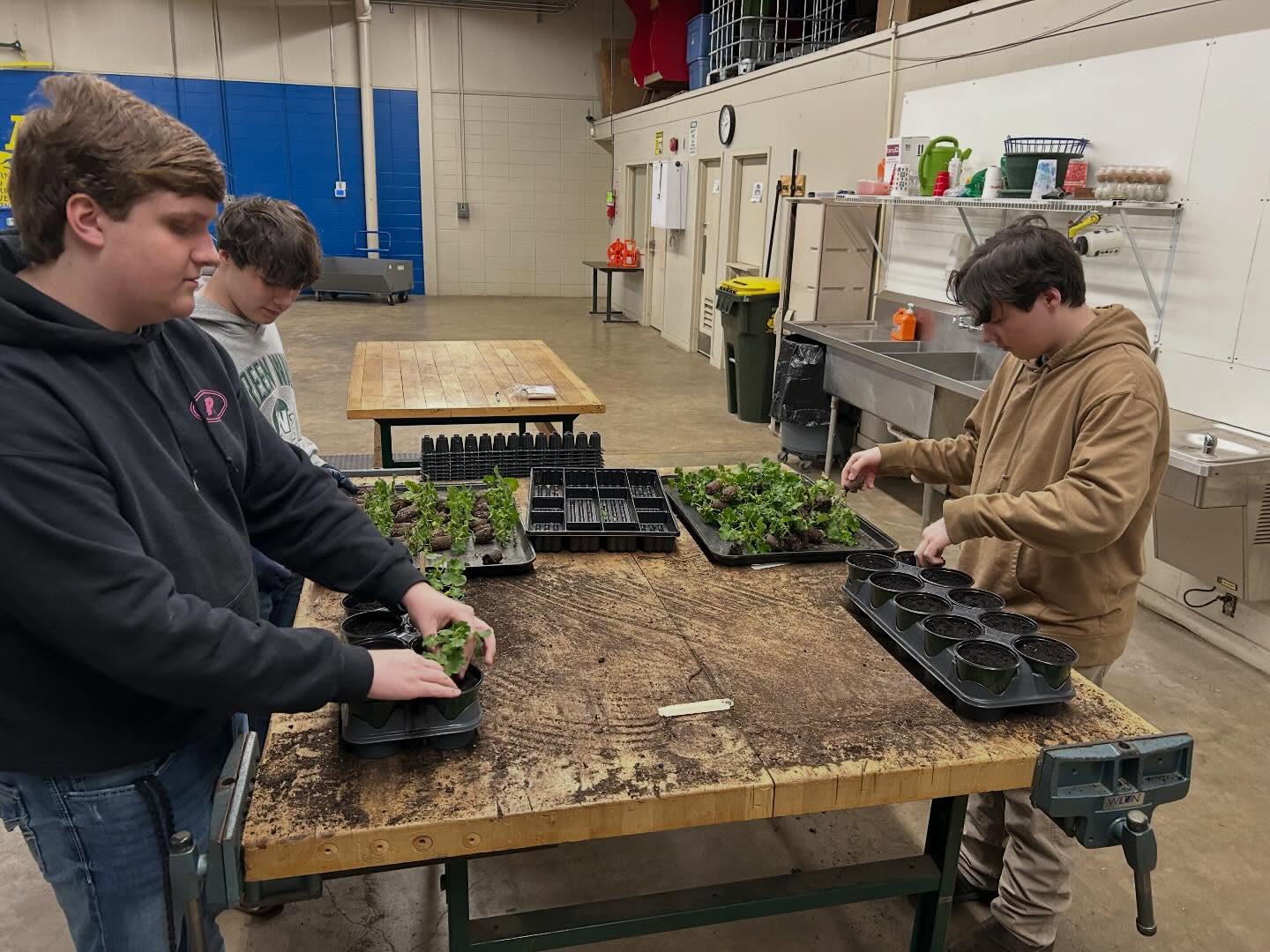 West Point Career and Technology Center Agriculture students working with plants and seedlings
