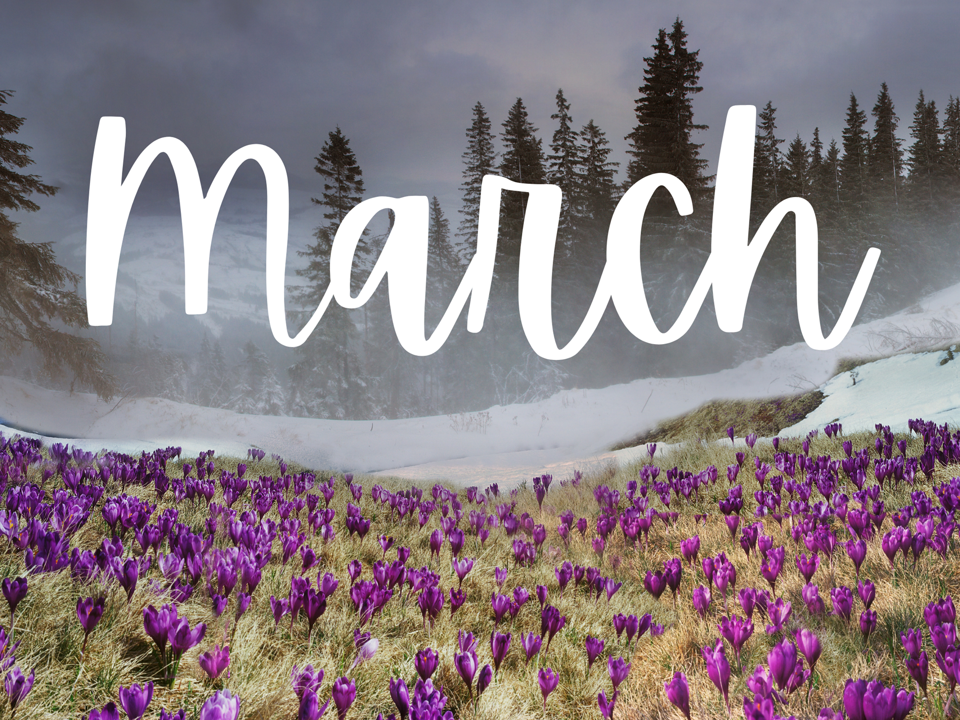 March Newsletter