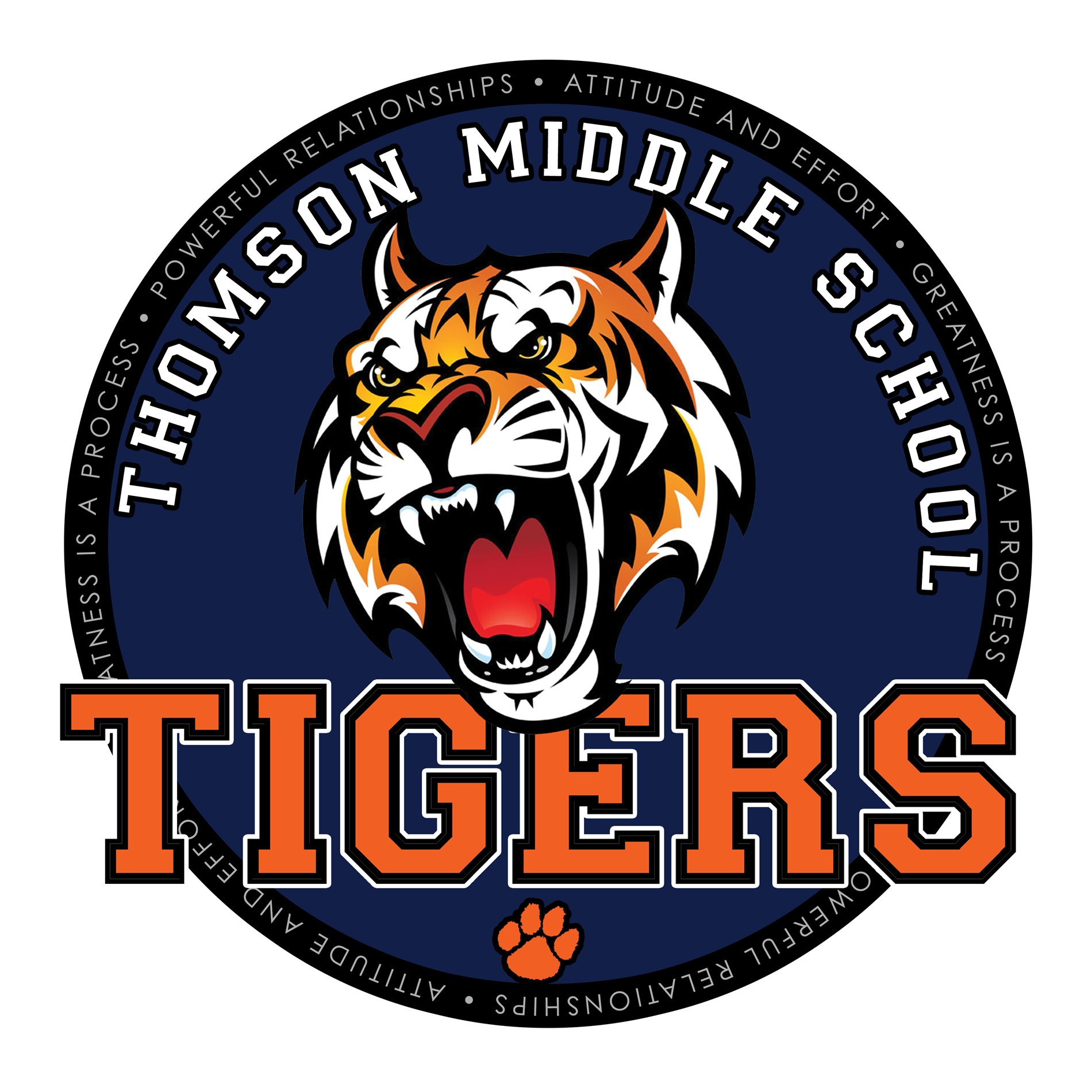 TMS Logo TMS Logo