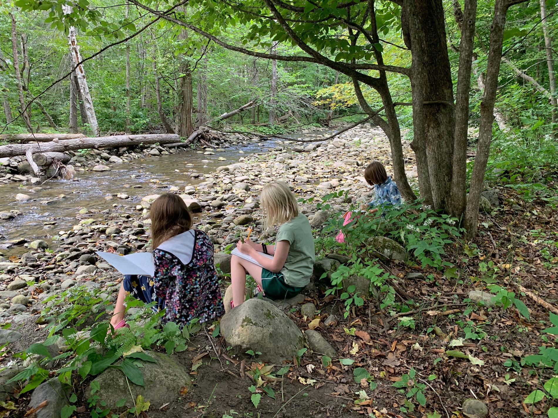 Learning in the Forest Classroom
