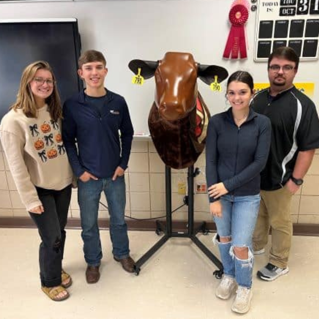 Billingsley School Bovine Simulator