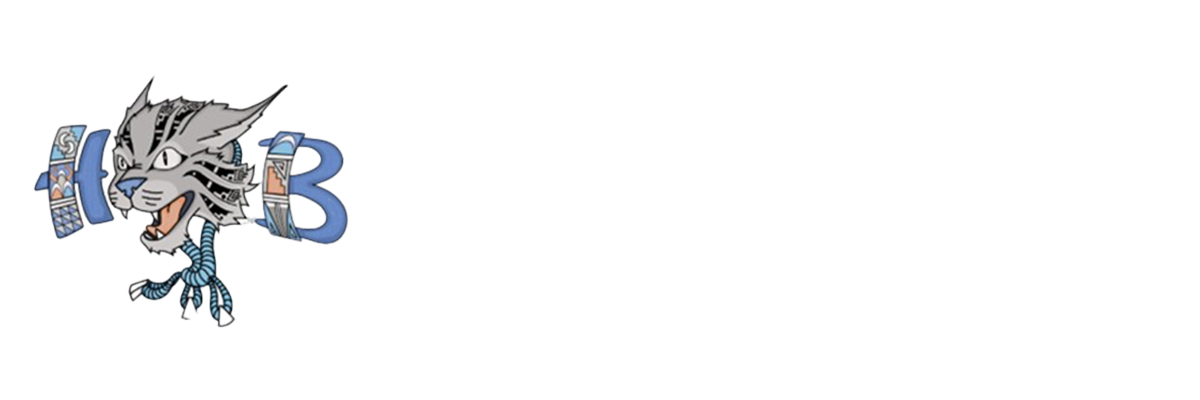 HOTEVILLA BACAVI COMMUNITY SCHOOL LOGO