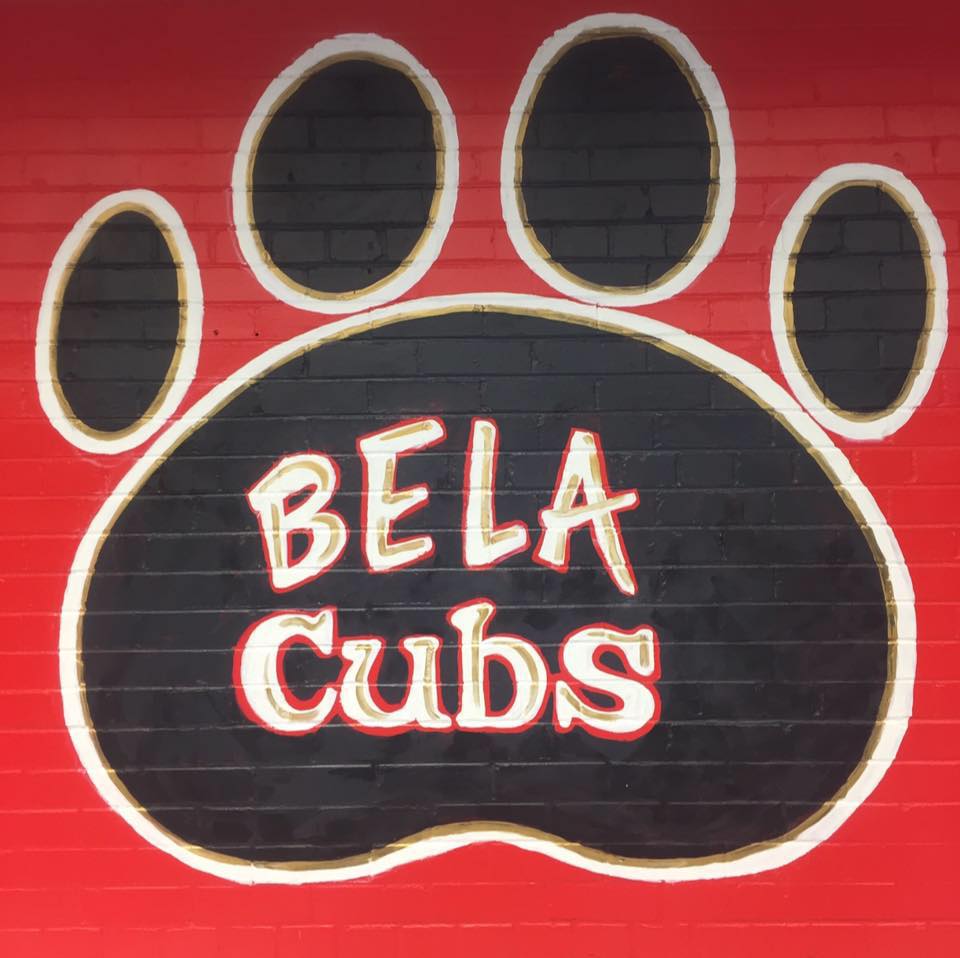 Bela cub painted wall