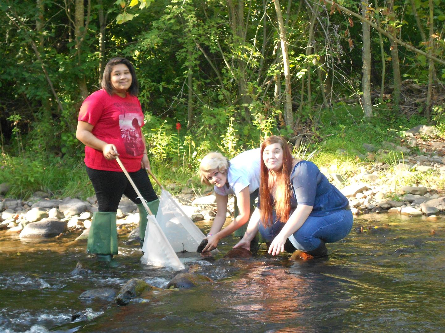 Environmental research 