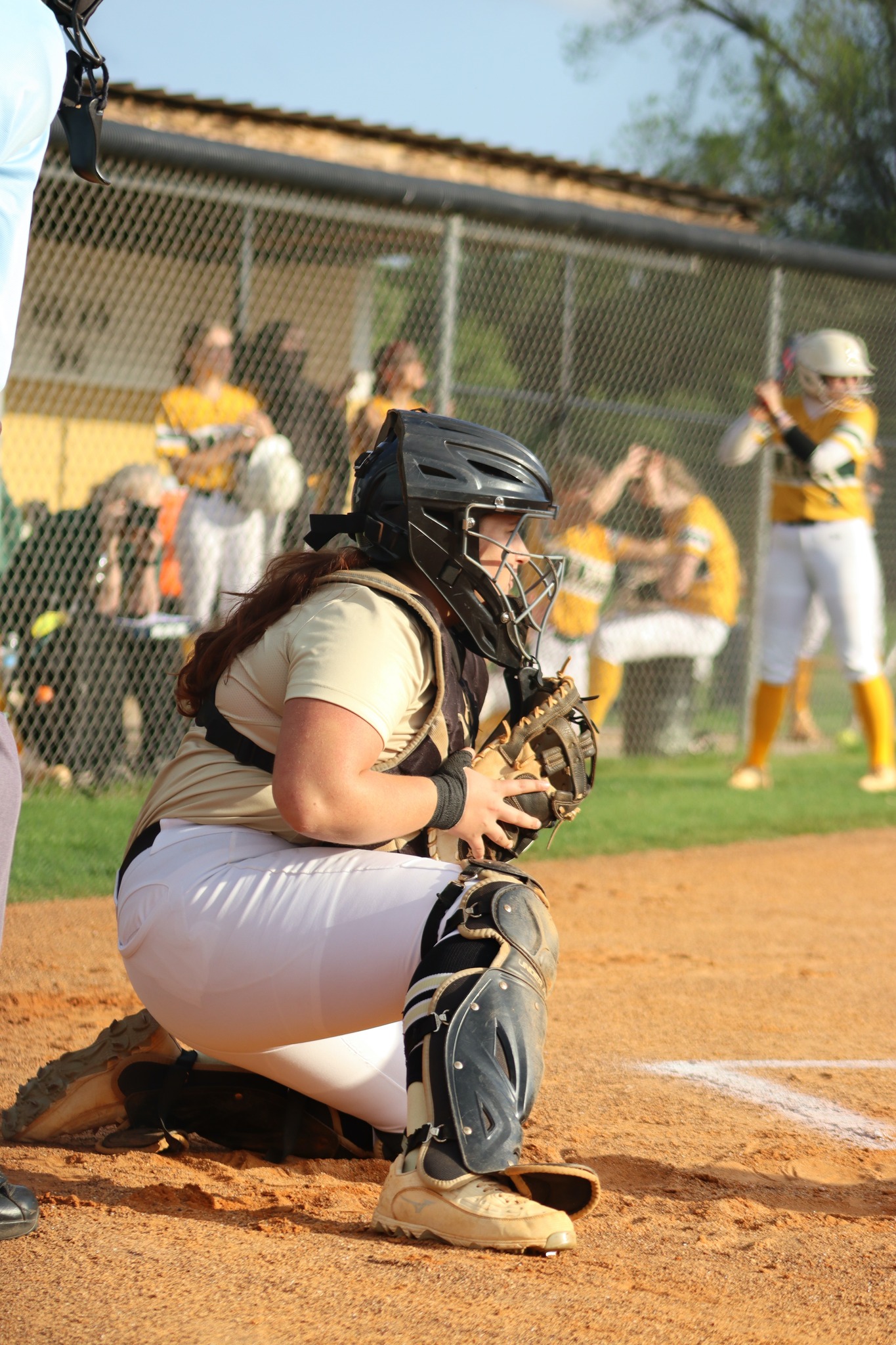 Softball 24-25