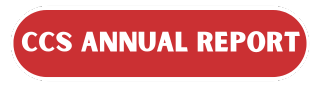 annual report