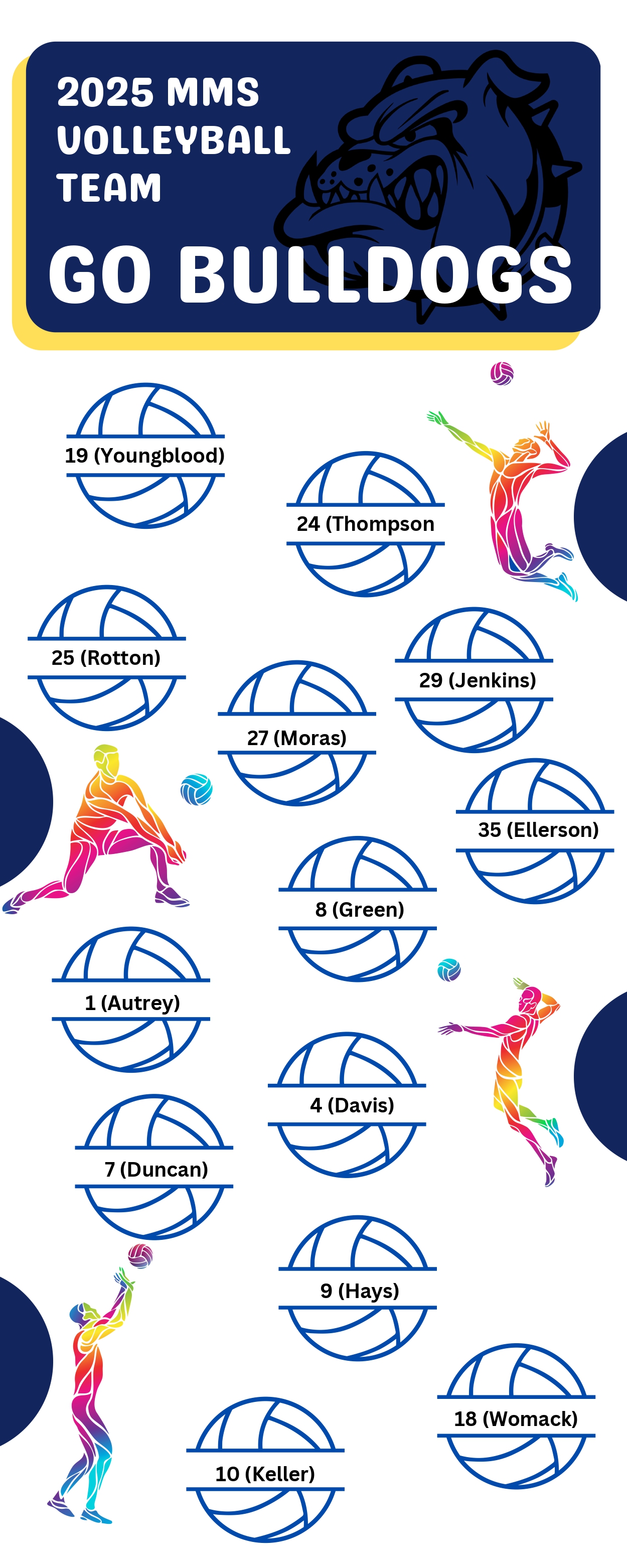 volleyball volleyball