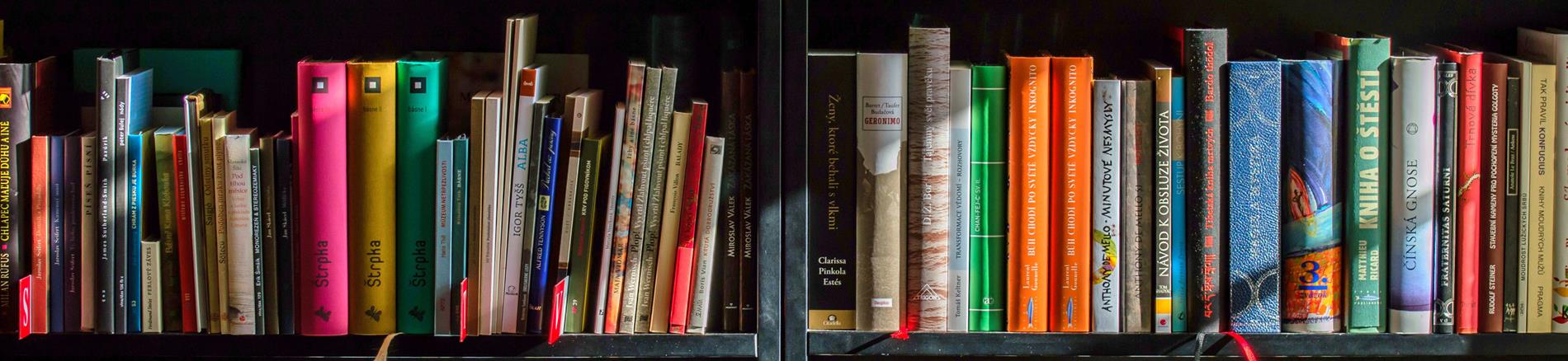 Teacher Bookshelf
