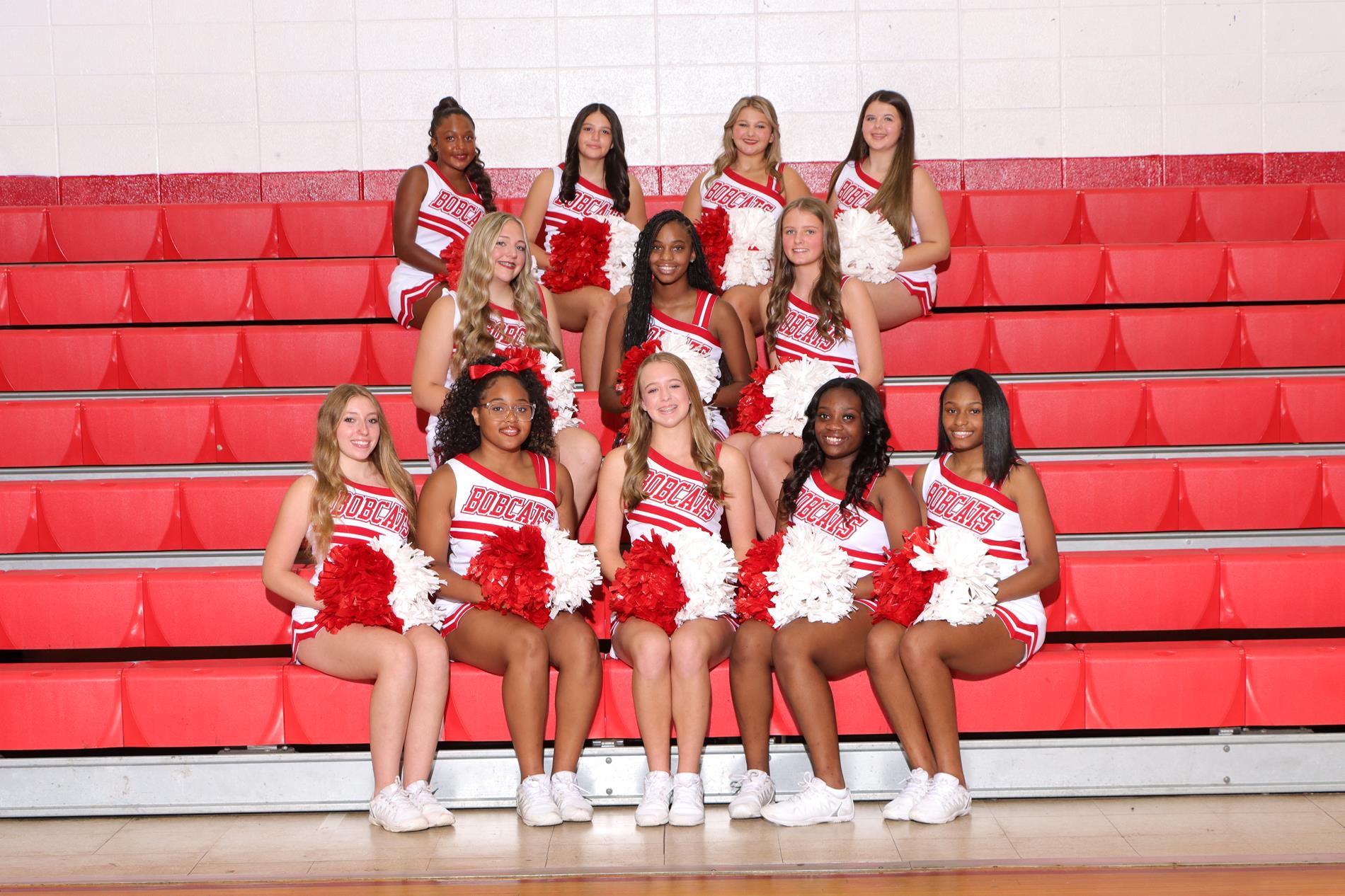 Cheer Picture 