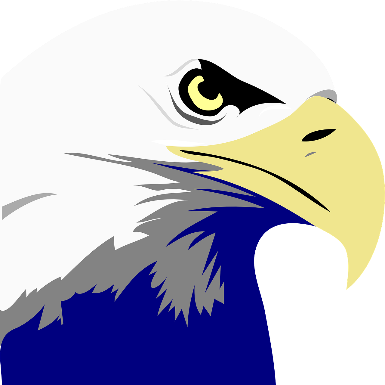 cartoon drawing of an eagle's head 