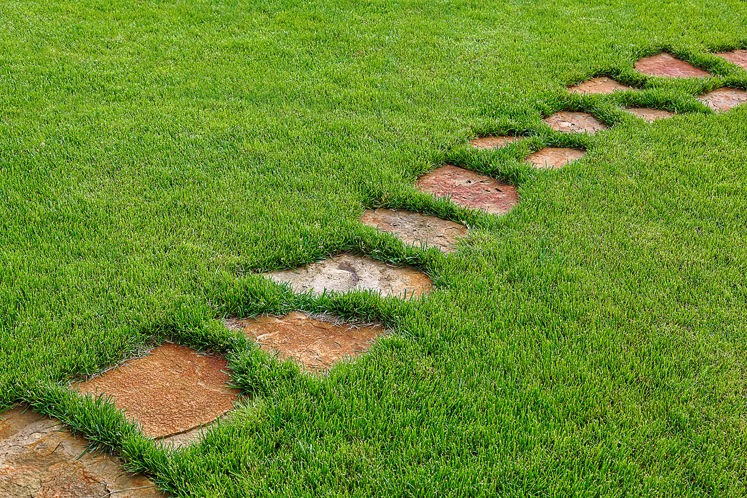 Stepping Stones in Grass