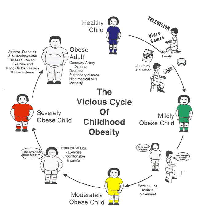 cycle of childhood obesity