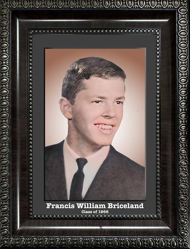 Francis William Briceland