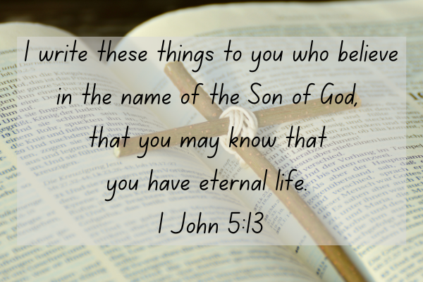 1 John 5.13