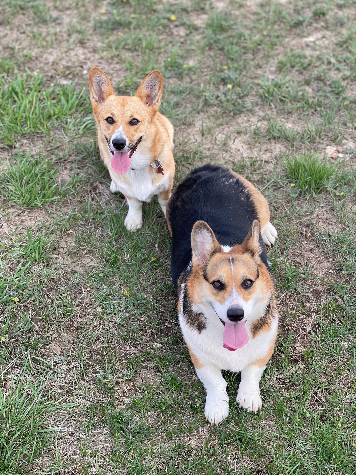 Emma & Kodi