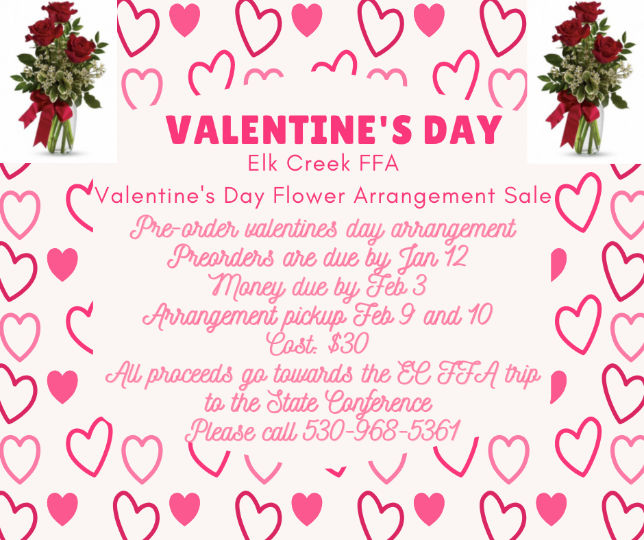 Each arrangement is $30.  Presale: now - Jan 12th  Pick up: Feb 9th-10th  Please call 530-968-5361 if interested 