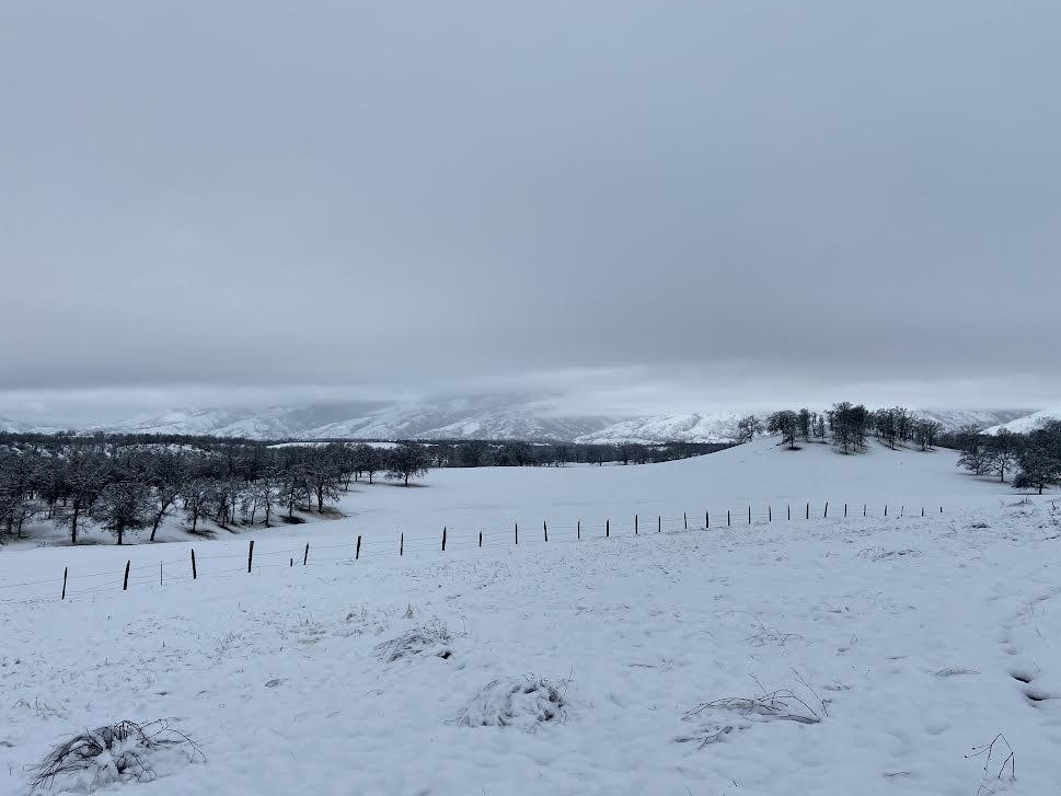 Photo By: Taryn Richardson March 17, 2022 - Snow covered field and mountains hidden by low clouds