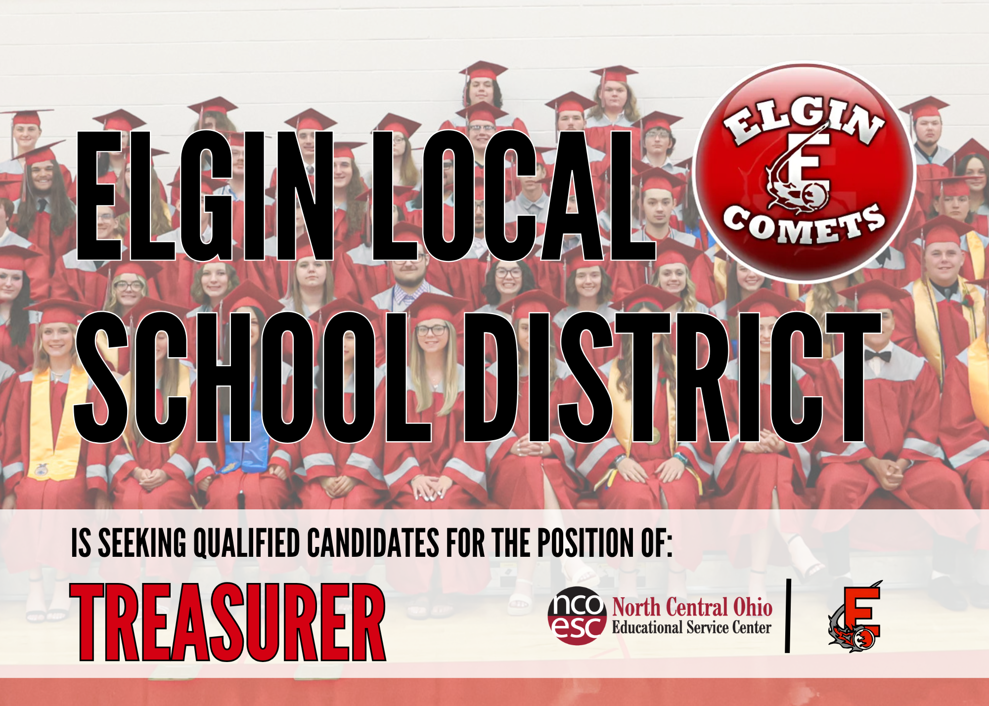 Elgin LSD Treasurer Search