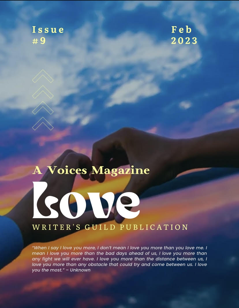  Voices cover photo