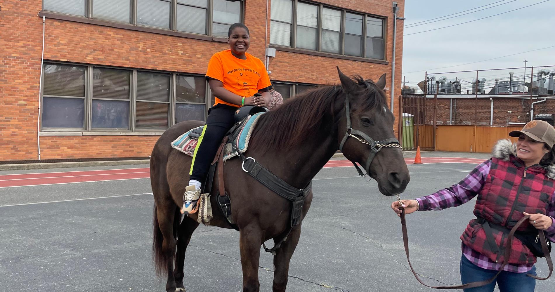 horse2