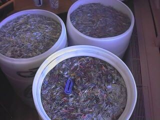 Paperclips were hand counted and put in barrels for storage
