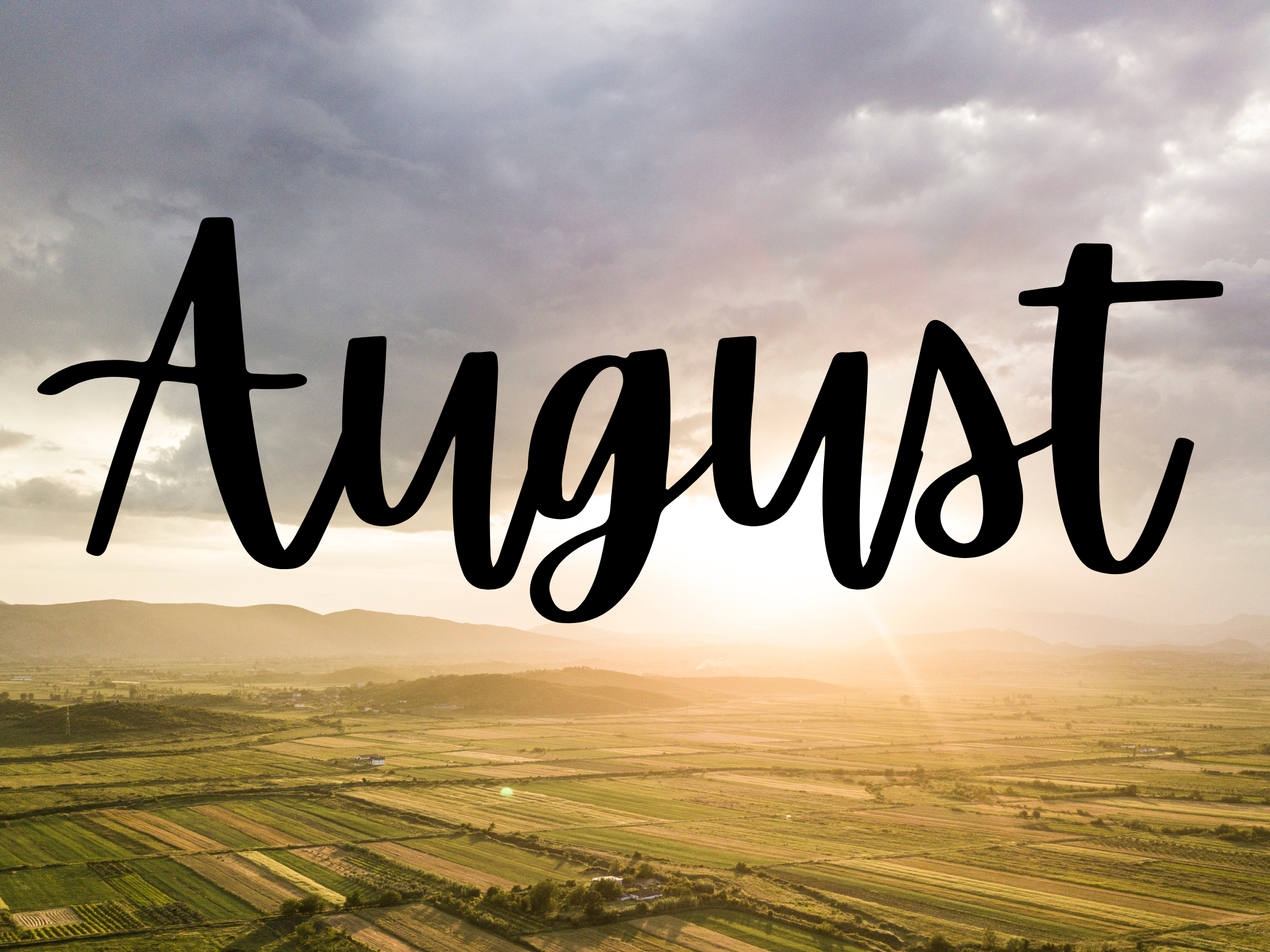 August Newsletter