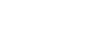 acadamy prep st petersburg logo