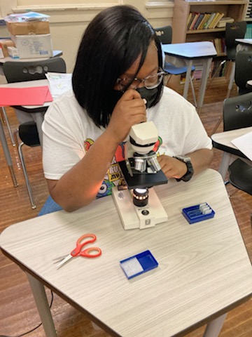 LCHS Student Using a Microscope