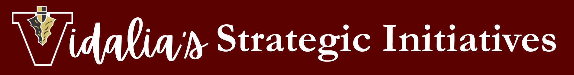 Strategic Initatives Strategic Initatives