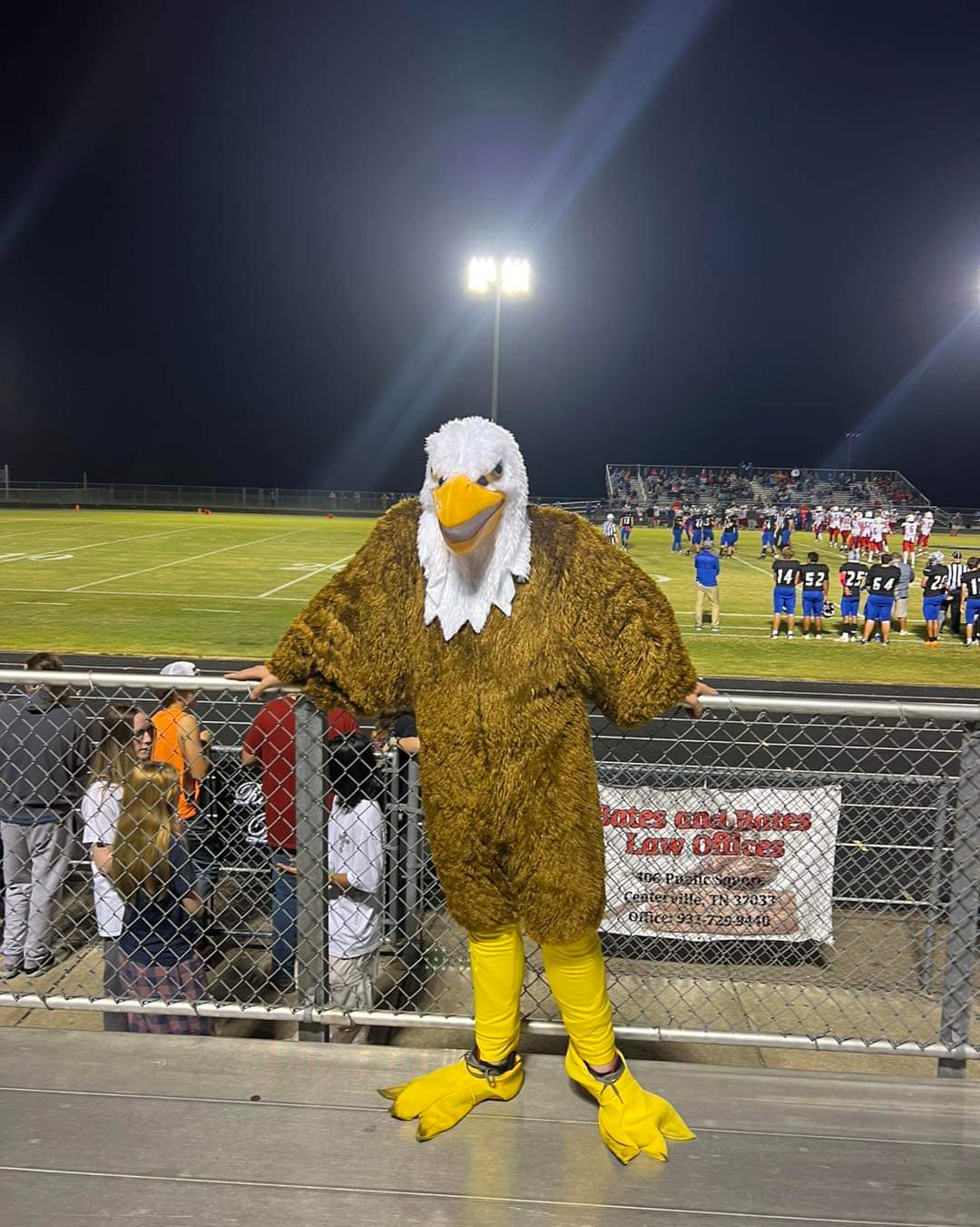 student wearing an eagle costume