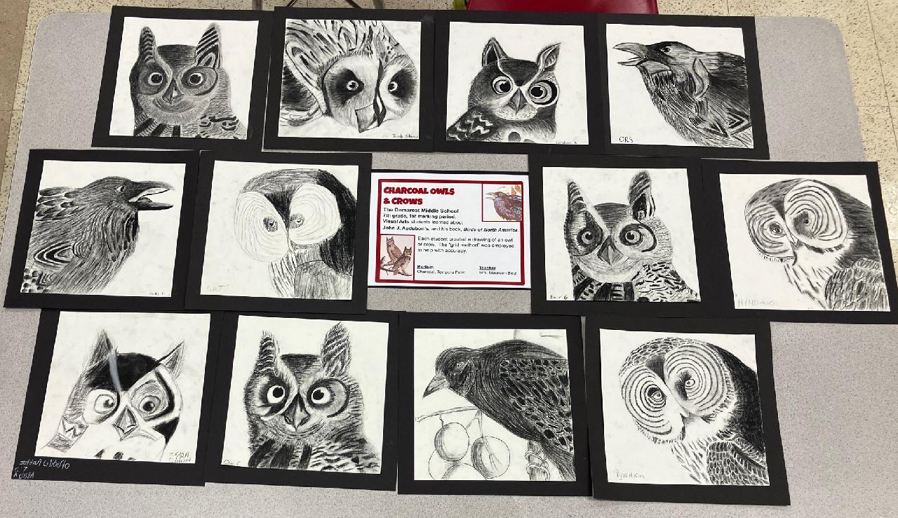 Student created owl drawings