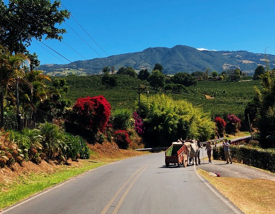 Costa Rica countryside