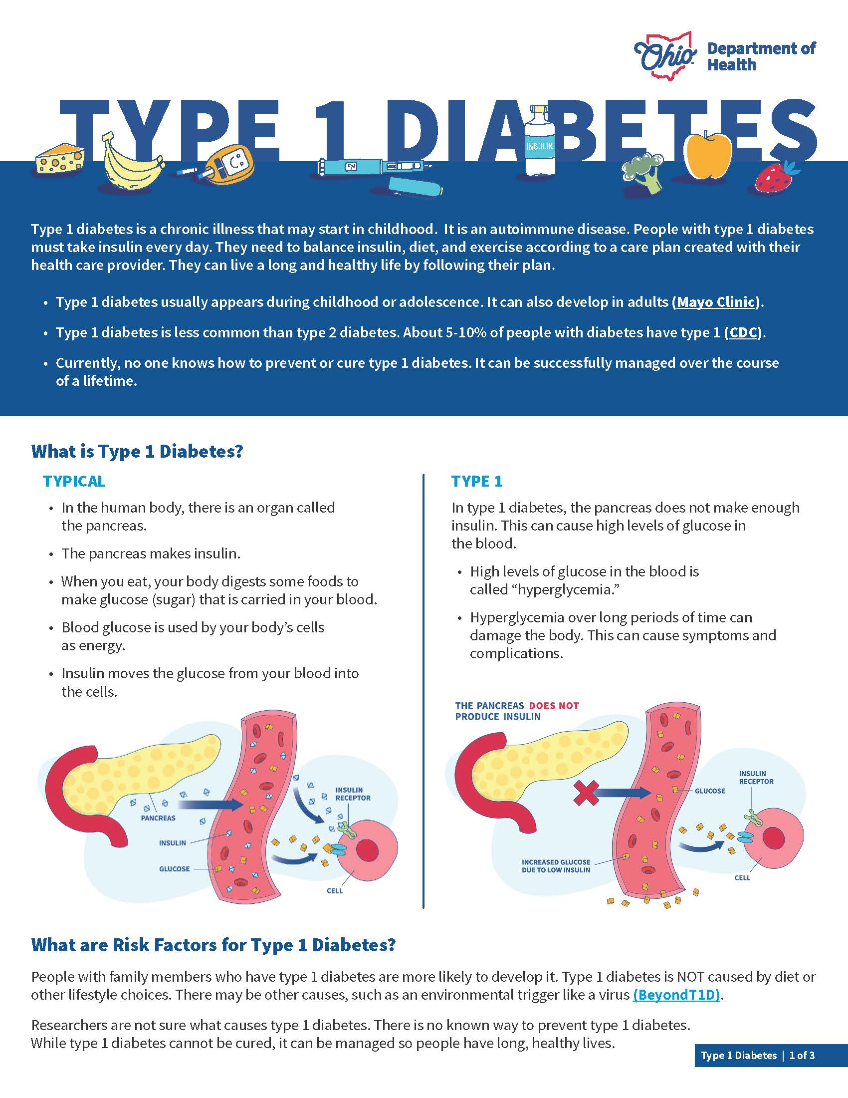 Type 1 Diabetes pg 1