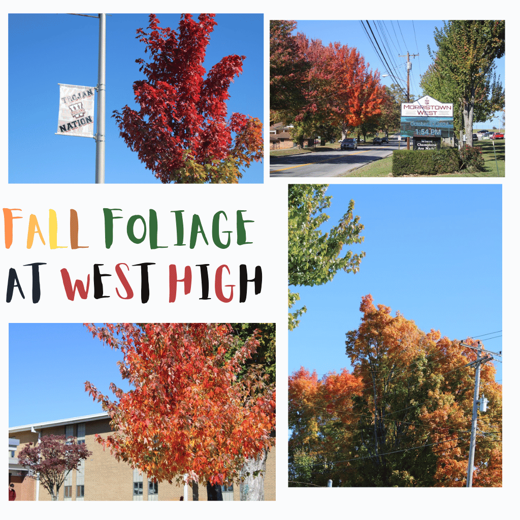 Fall foliage at West High