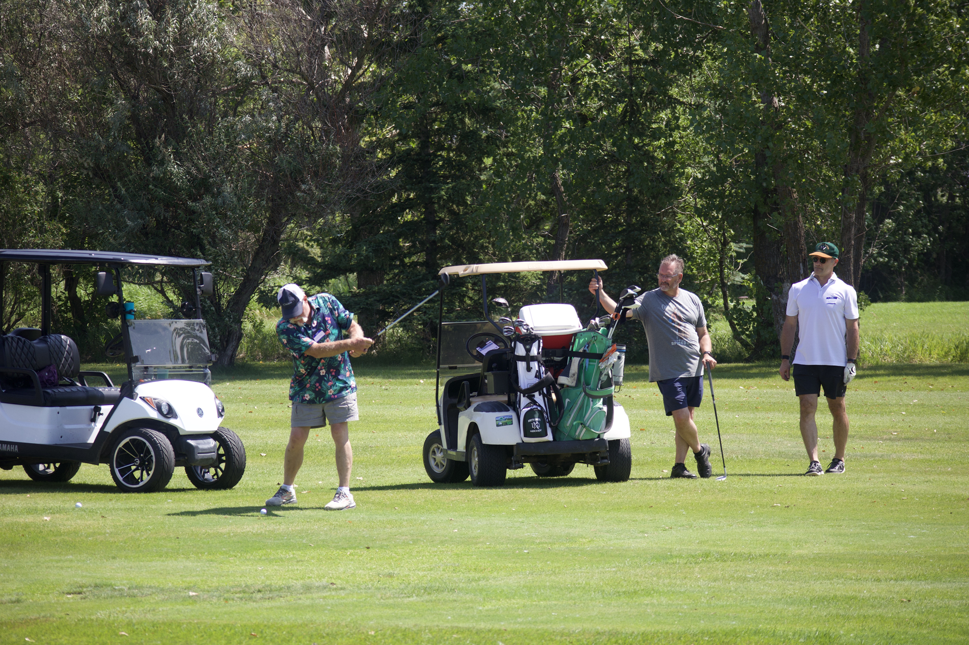 Golf 25