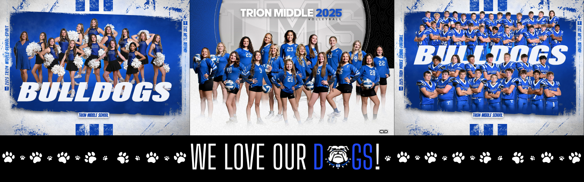 We Love Our Dogs! 