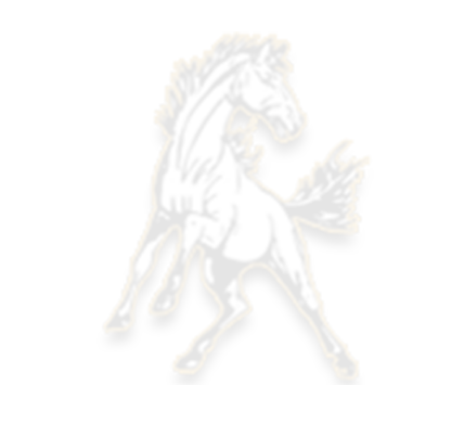 Isabella High School Logo