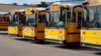 Line of School Buses