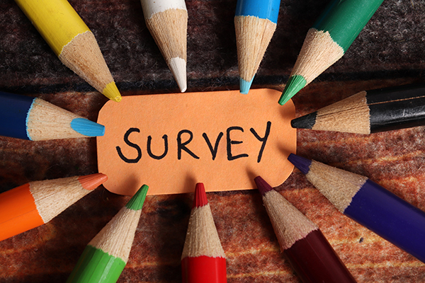 colored pencils survey