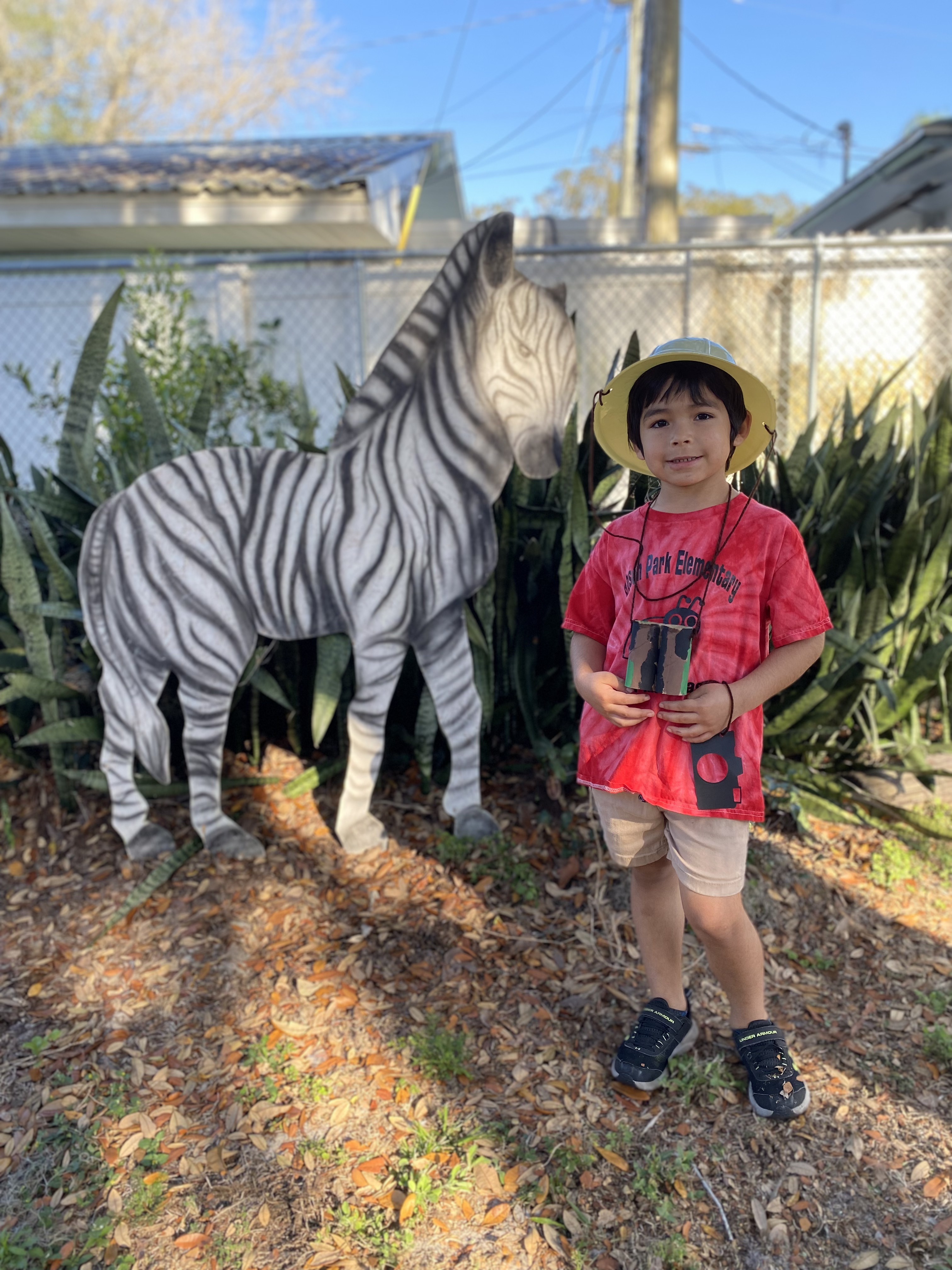 Kindergarten student standing in front of a zebra on their safari.