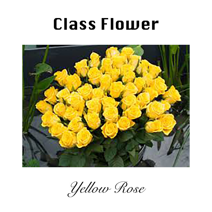 Class flower