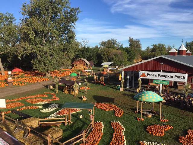 Papa's Pumpkin Patch